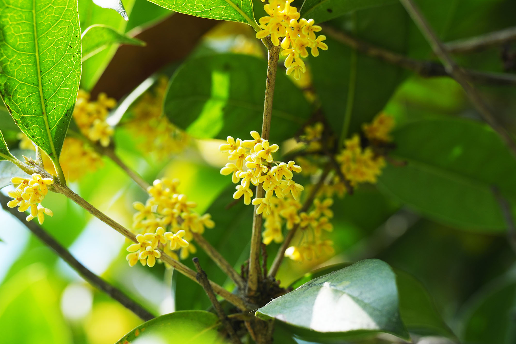 ������-LG��Ϸ|PT��Ϸ|CQ9��Ϸ